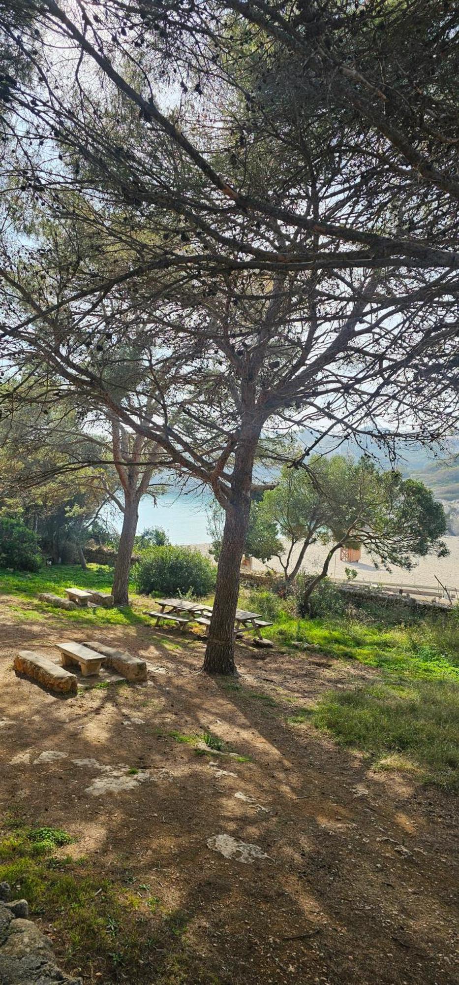 Casa Domingos Cales De Mallorca 외부 사진